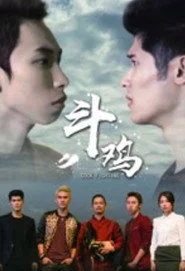 斗鸡