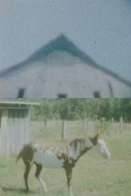 Our Landmark: My Fair Share