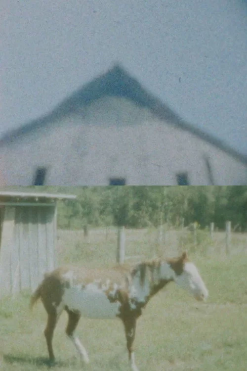 Our Landmark: My Fair Share