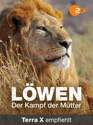 Löwen - Der Kampf der Mütter