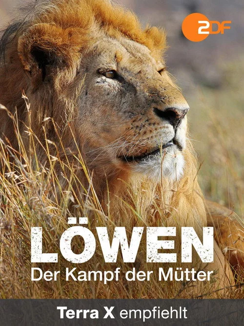Löwen - Der Kampf der Mütter