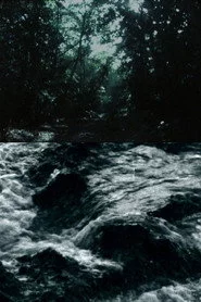 Ceiba