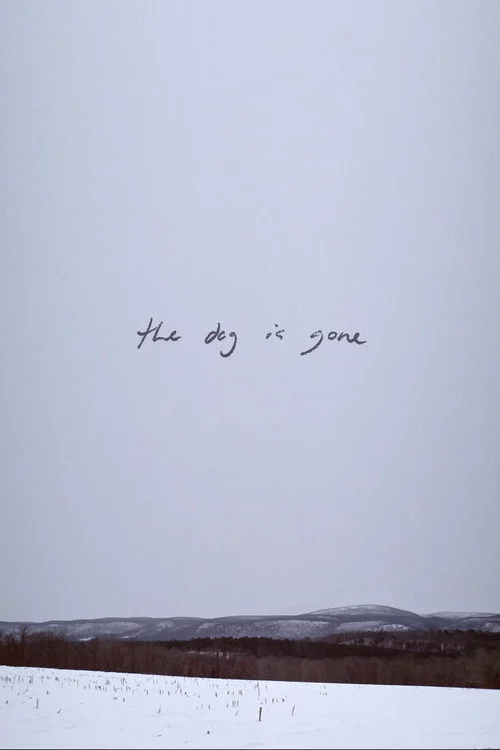 The Dog Is Gone