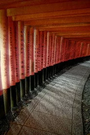 Soft Pong Inari