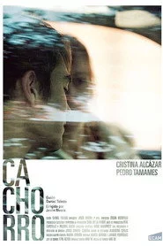 Cachorro