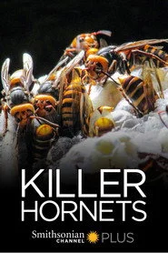 Killer Hornets