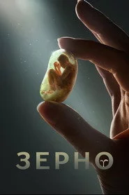 Зерно