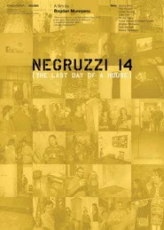 Negruzzi 14
