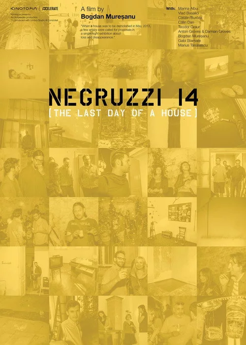 Negruzzi 14
