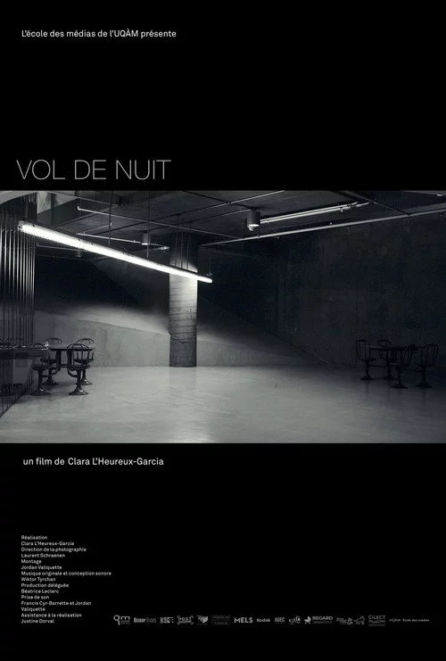 Vol de nuit