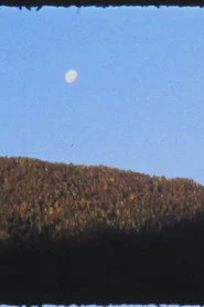 El Manso