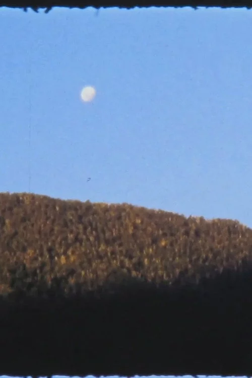 El Manso