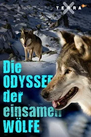 Die Odyssee der einsamen Wölfe
