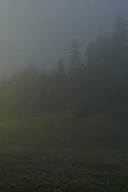 In A Beautiful And Quiet Location