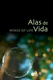 Alas de Vida
