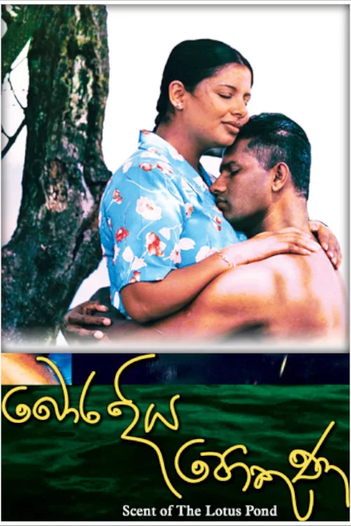 බොර දිය පොකුණ