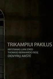 Trikampiui pakilus: Krystian Lupa stato Didvyrių aikštę