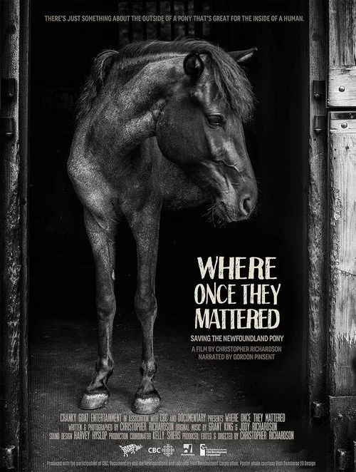 Where Once They Mattered
