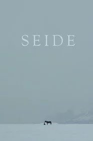 Seide