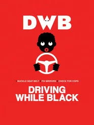 Driving While Black