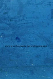 Sound of a Million Insects, Light of a Thousand Stars