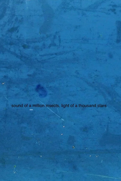 Sound of a Million Insects, Light of a Thousand Stars