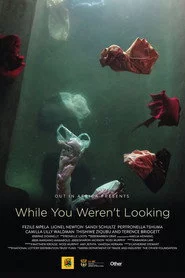 While You Weren't Looking