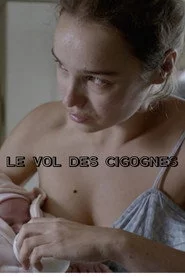 Le Vol des cigognes