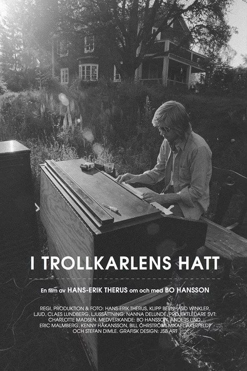 I Trollkarlens hatt