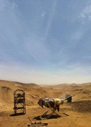 קיץ בערד