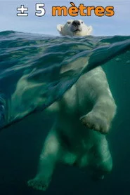 À ± 5 mètres de la surface des océans