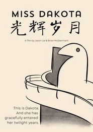 光辉岁月