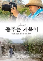 춤추는 거북이