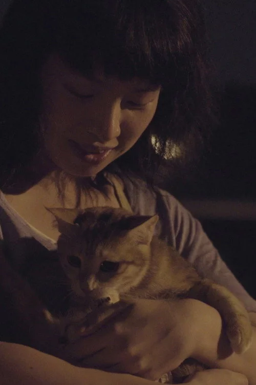 夜貓
