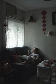 仙人掌