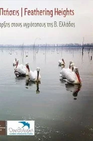 Ανεμοδαρμένες πτήσεις