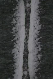 Snow Fall