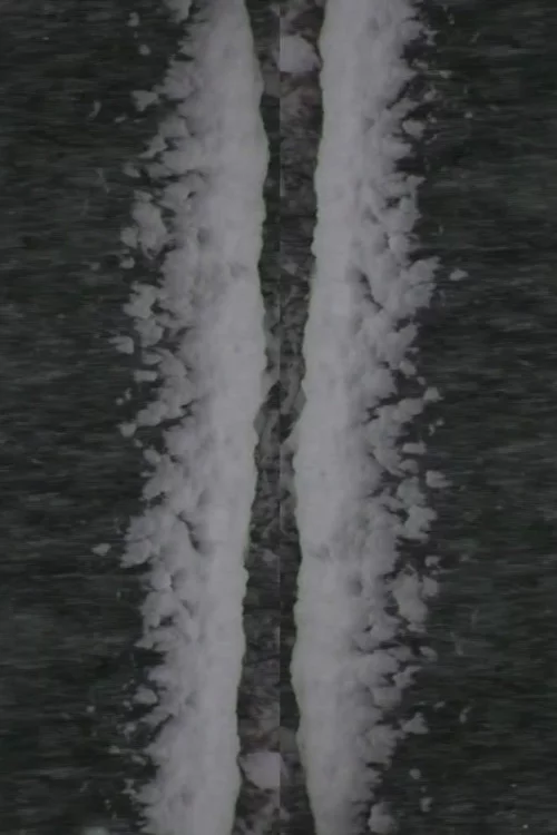 Snow Fall