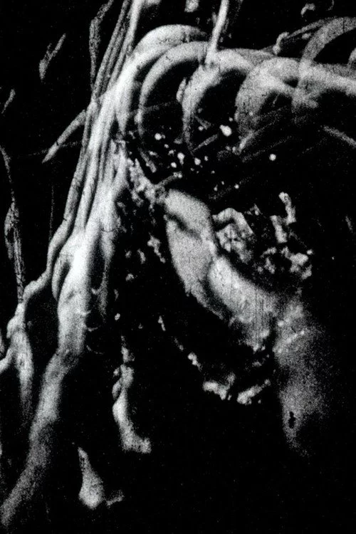Traces