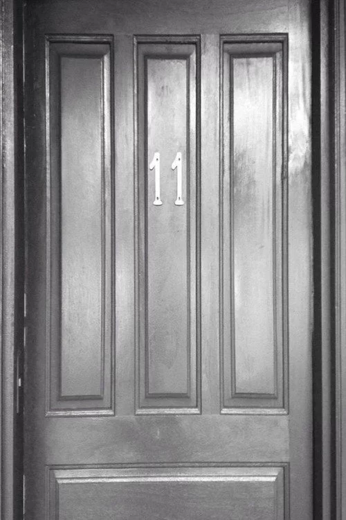 Puerta 11
