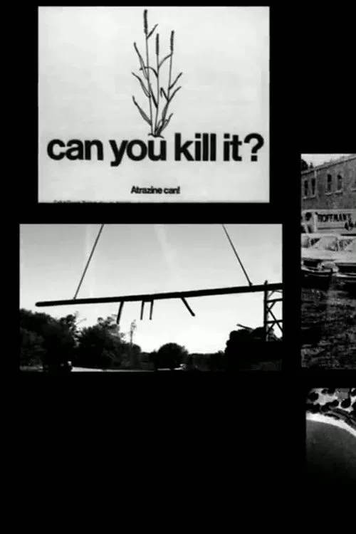 Slaughterhouse