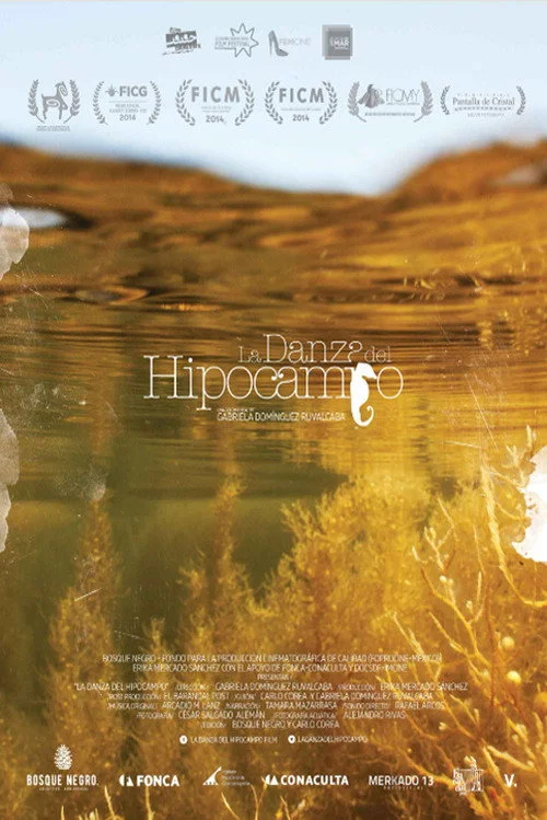 La danza del hipocampo