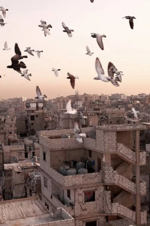 رحلة كنباي