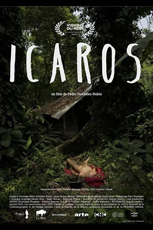 Ícaros