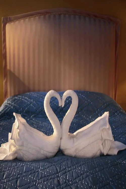 Swan Song