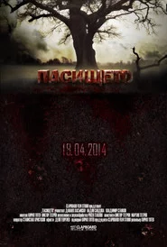 Pasishteto