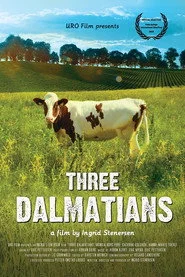 Tre dalmatinere