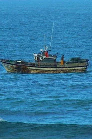 Anacos da Galiza