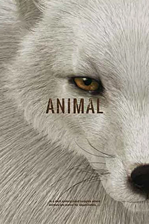 Звір