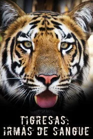 Tigress Blood
